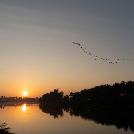 Stayvista At Golden Triangle Kabini With Bonfire, River View & Comp Beakfast Hampapura Экстерьер фото